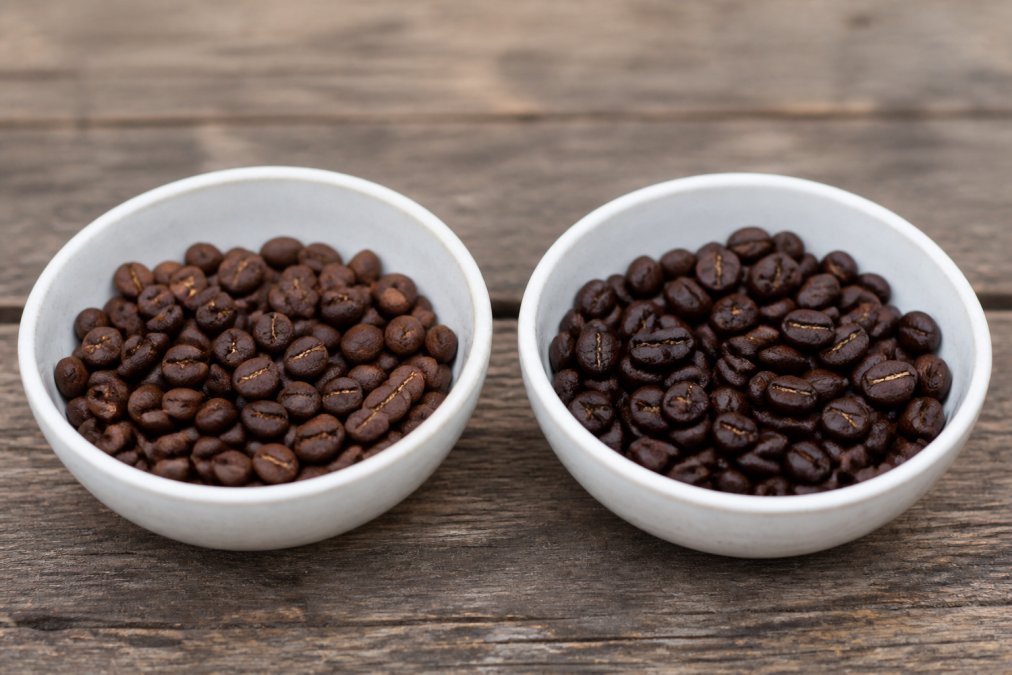 Arabica vs Robusta Coffee Beans: Key Differences