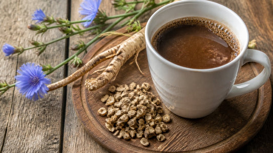 Health Benefits of Chicory Root Coffee: What to Know