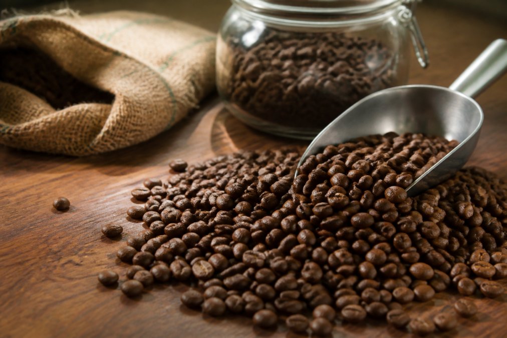 How to Find the Freshest Coffee: A 2026 Guide