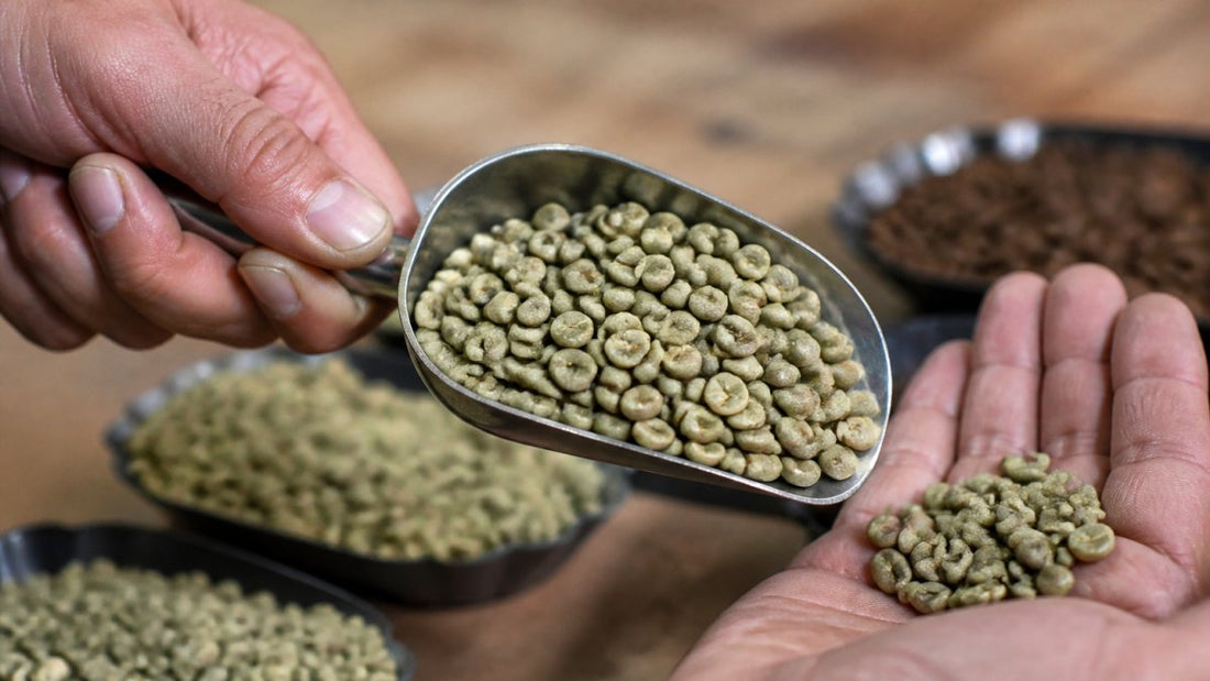 How to Tell If Coffee Beans Are Under Roasted
