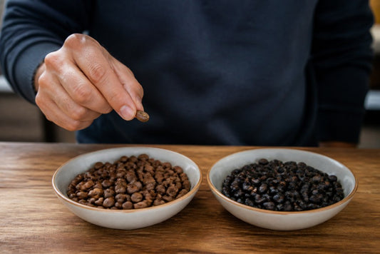 How to Tell If Coffee Beans Have Gone Bad: 5 Signs